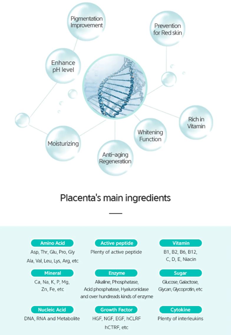 Main ingredients of Pilopla Moisturizing Placenta Cream including Placental Extract, Adenosine, Niacinamide, Aloe Vera Extract, and Centella Asiatica Extract with benefits for whitening, lifting, soothing, and skin balance.